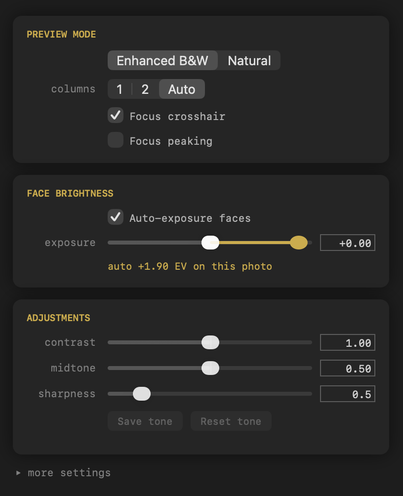 The options panel: preview mode, face brightness with an auto-exposure slider, and the tone adjustments